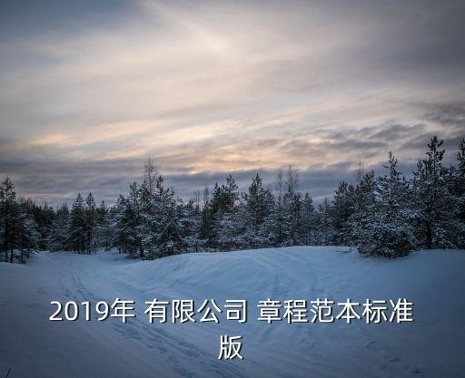 2019年 有限公司 章程范本標(biāo)準(zhǔn)版