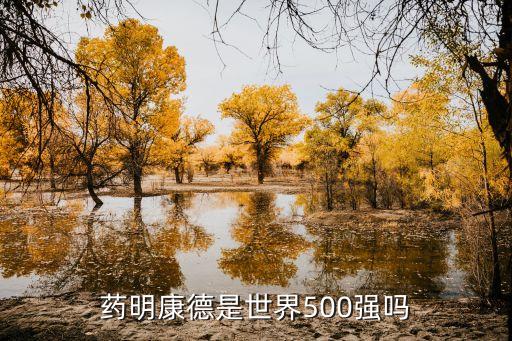 藥明康德是世界500強嗎