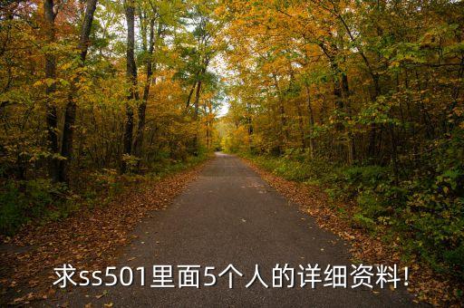 求ss501里面5個人的詳細(xì)資料!