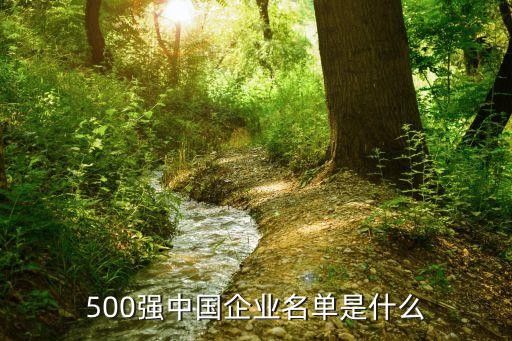 500強中國企業(yè)名單是什么