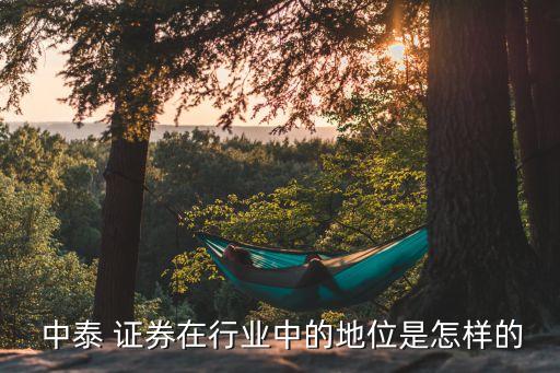 濰坊中泰證券公司,中泰證券公司怎么樣