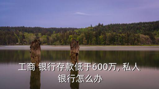 工商 銀行存款低于600萬, 私人 銀行怎么辦