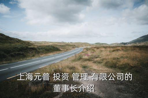  上海元普 投資 管理 有限公司的董事長(zhǎng)介紹