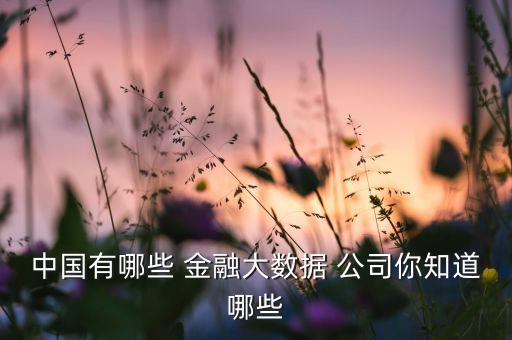 互聯(lián)網(wǎng)金融公司名稱