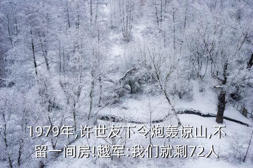 1979年,許世友下令炮轟諒山,不留一間房!越軍:我們就剩72人