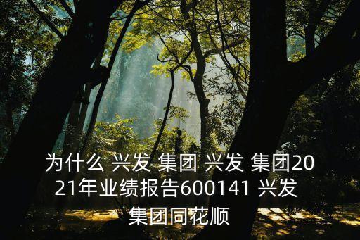 為什么 興發(fā) 集團 興發(fā) 集團2021年業(yè)績報告600141 興發(fā) 集團同花順