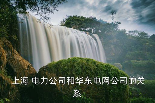  上海 電力公司和華東電網(wǎng)公司的關(guān)系