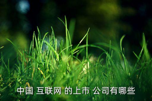 中國 互聯(lián)網(wǎng) 的上市 公司有哪些