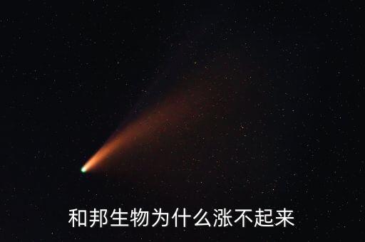 和邦生物為什么漲不起來(lái)