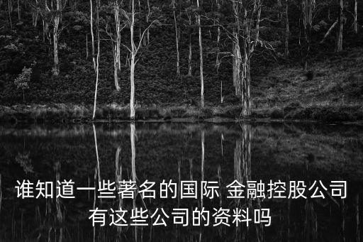 誰知道一些著名的國際 金融控股公司有這些公司的資料嗎