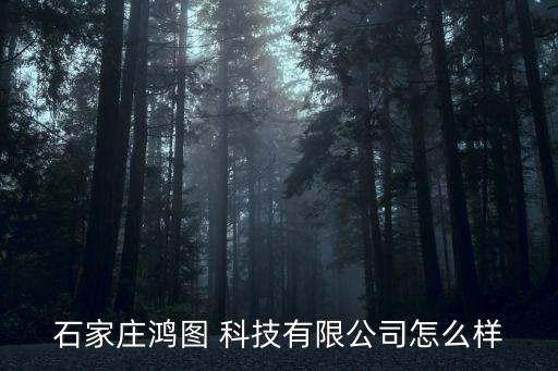 石家莊鴻圖 科技有限公司怎么樣