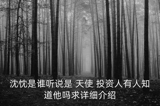 沈忱是誰聽說是 天使 投資人有人知道他嗎求詳細(xì)介紹