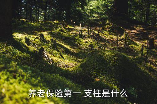 養(yǎng)老保險第一 支柱是什么