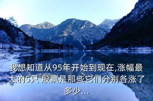 我想知道從95年開始到現在,漲幅最大的5只 股票是那些它們分別各漲了多少...