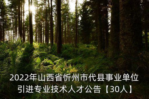 2022年山西省忻州市代縣事業(yè)單位引進(jìn)專業(yè)技術(shù)人才公告【30人】