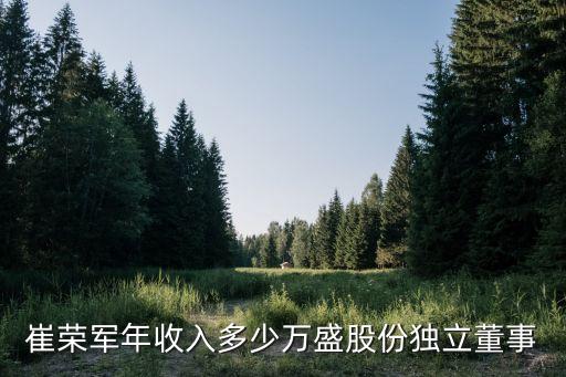 崔榮軍年收入多少萬(wàn)盛股份獨(dú)立董事