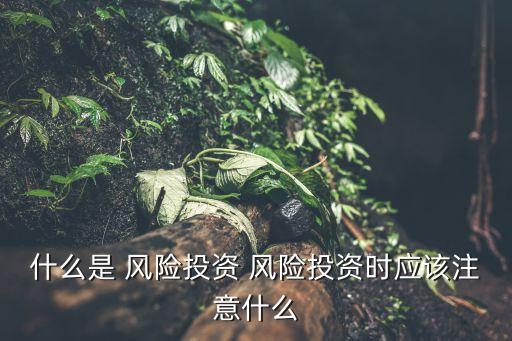 什么是 風險投資 風險投資時應該注意什么