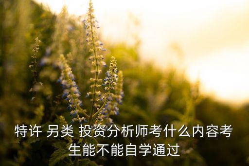 特許 另類 投資分析師考什么內(nèi)容考生能不能自學(xué)通過