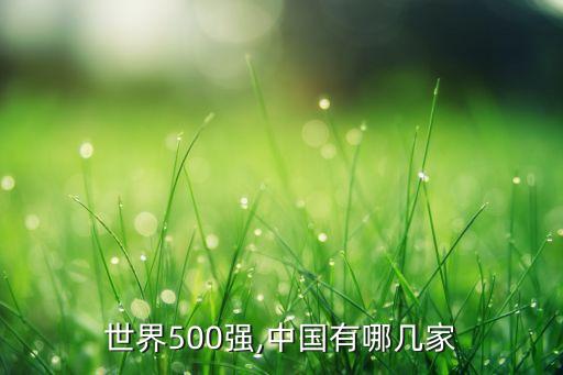 世界500強(qiáng),中國有哪幾家