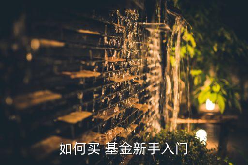 買(mǎi)基金怎樣開(kāi)戶(hù),如何網(wǎng)上開(kāi)戶(hù)買(mǎi)基金