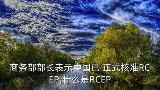 商務部部長表示中國已 正式核準RCEP,什么是RCEP