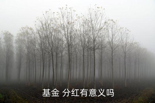 基金分紅有什么用,基金的分紅方式選擇什么比較好