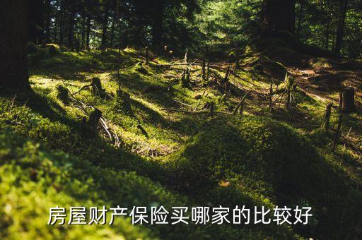 銷售財(cái)險(xiǎn)去哪家公司,做銷售去哪家公司比較好