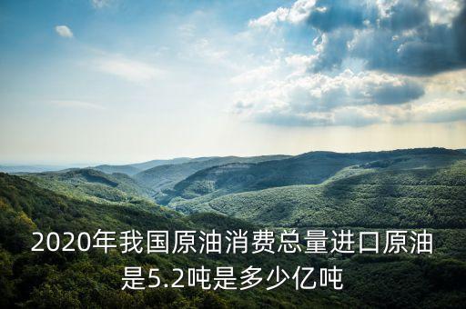 2020年我國原油消費總量進口原油是5.2噸是多少億噸