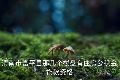 渭南市富平縣那幾個(gè)樓盤有住房公積金貸款資格