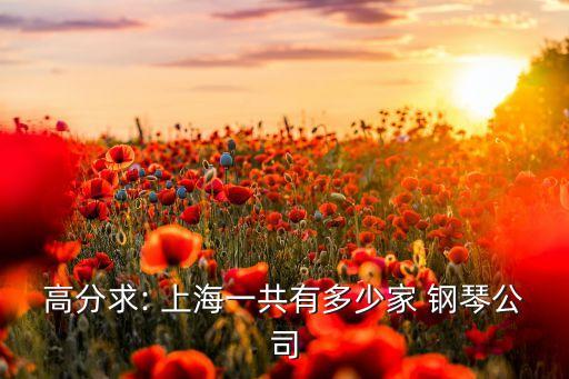 高分求: 上海一共有多少家 鋼琴公司