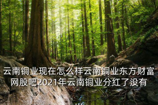 云南銅業(yè)現在怎么樣云南銅業(yè)東方財富網股吧2021年云南銅業(yè)分紅了沒有...