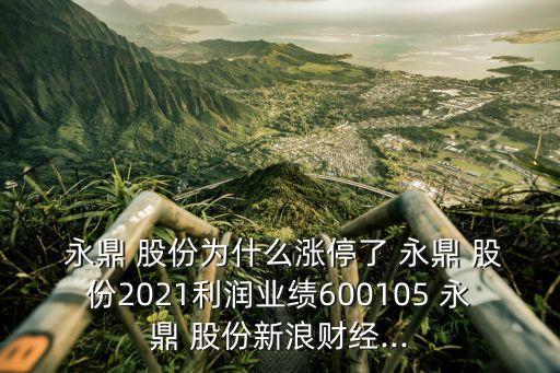  永鼎 股份為什么漲停了 永鼎 股份2021利潤(rùn)業(yè)績(jī)600105 永鼎 股份新浪財(cái)經(jīng)...