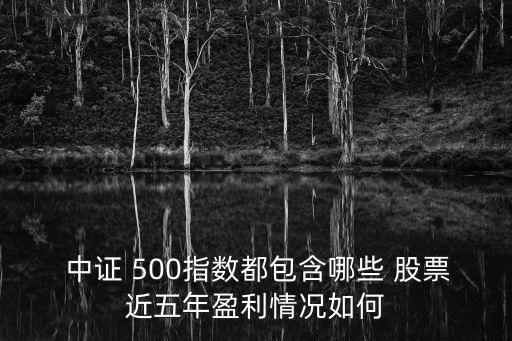 中證500的股票有哪些