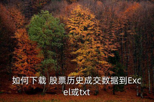 如何下載 股票歷史成交數(shù)據(jù)到Excel或txt