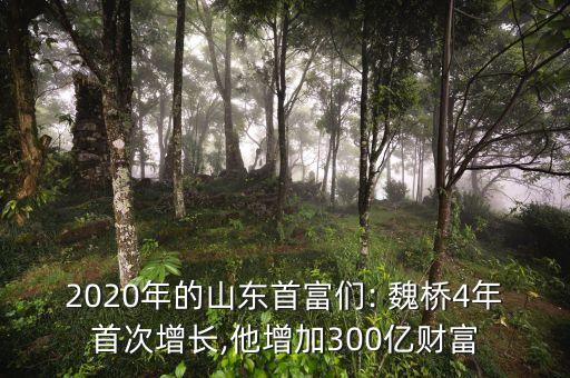 2020年的山東首富們: 魏橋4年首次增長,他增加300億財富