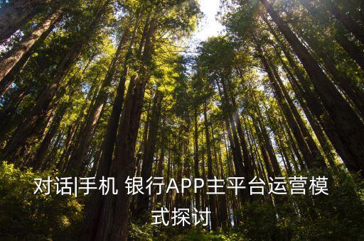 對話|手機 銀行APP主平臺運營模式探討