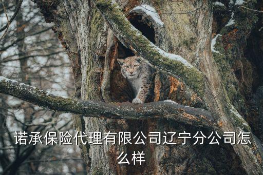  諾承保險(xiǎn)代理有限公司遼寧分公司怎么樣