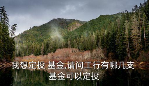 我想定投 基金,請問工行有哪幾支 基金可以定投