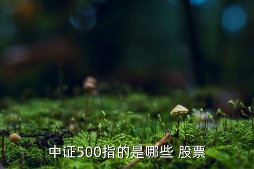 中證500指的是哪些 股票