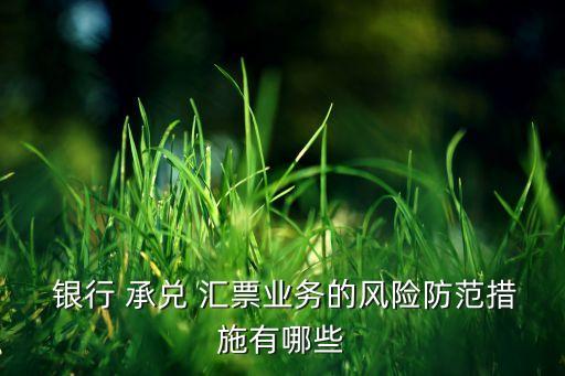  銀行 承兌 匯票業(yè)務(wù)的風(fēng)險(xiǎn)防范措施有哪些