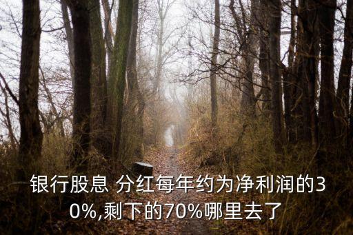  銀行股息 分紅每年約為凈利潤(rùn)的30%,剩下的70%哪里去了