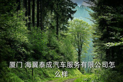  廈門 海翼泰成汽車服務(wù)有限公司怎么樣