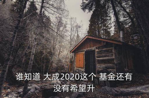 誰知道 大成2020這個(gè) 基金還有沒有希望升