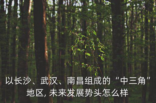 以長沙、武漢、南昌組成的“中三角”地區(qū), 未來發(fā)展勢頭怎么樣