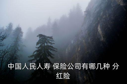 中國人民人壽 保險(xiǎn)公司有哪幾種 分紅險(xiǎn)