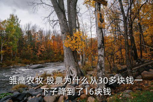 雛鷹農(nóng)牧 股票為什么從30多塊錢(qián)一下子降到了16塊錢(qián)