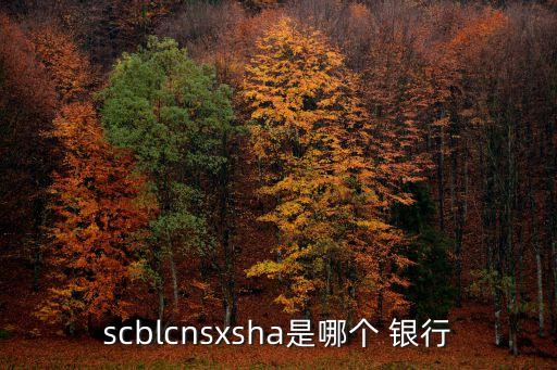 scblcnsxsha是哪個 銀行