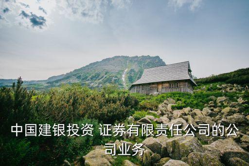 中國(guó)建銀投資 證券有限責(zé)任公司的公司業(yè)務(wù)