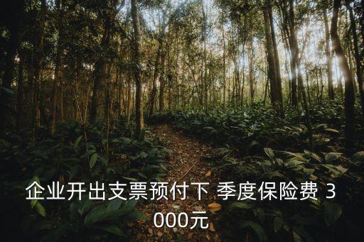 企業(yè)開出支票預(yù)付下 季度保險(xiǎn)費(fèi) 3000元