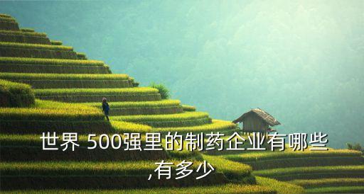  世界 500強(qiáng)里的制藥企業(yè)有哪些,有多少